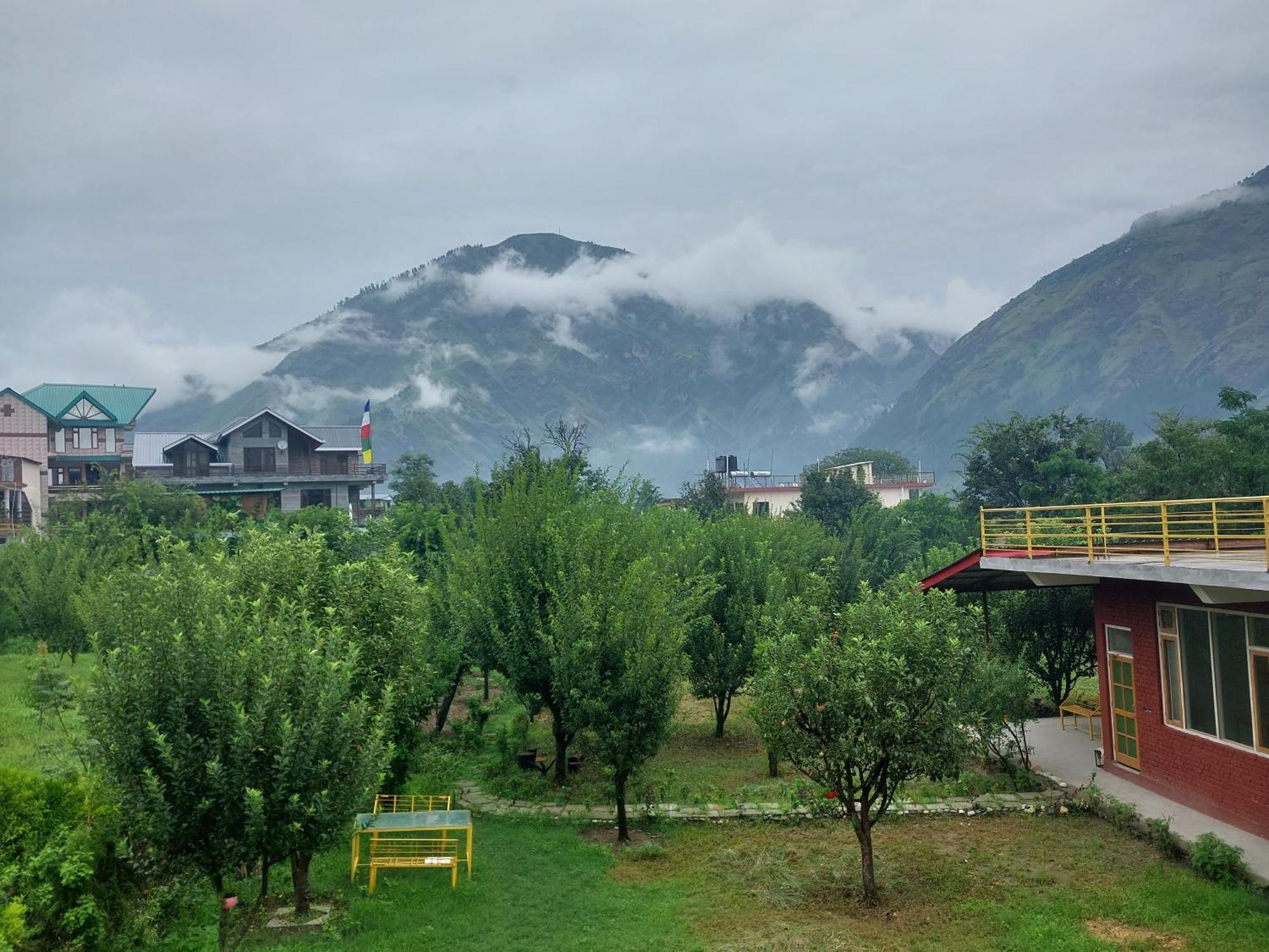 Gazing Moon Homestay Shamshi Buitenkant foto